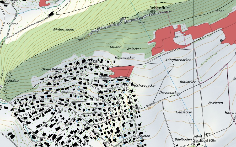 swisstopo national map showing the protected perimeter of Rebenfeld (Dry meadow)