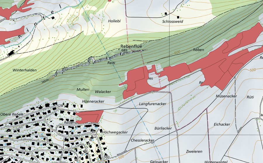 swisstopo national map showing the protected perimeter of Rebenfeld (Dry meadow)