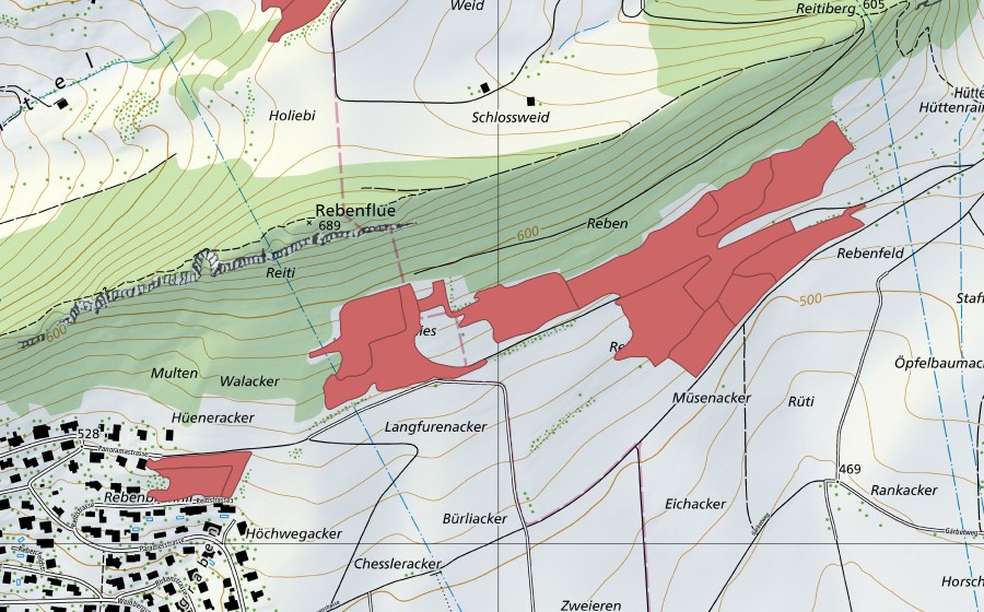swisstopo national map showing the protected perimeter of Rebenfeld (Dry meadow)