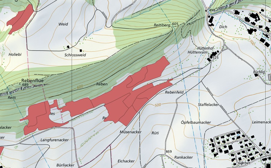 Carte nationale swisstopo avec le périmètre protégé de Rebenfeld (Prairie sèche)