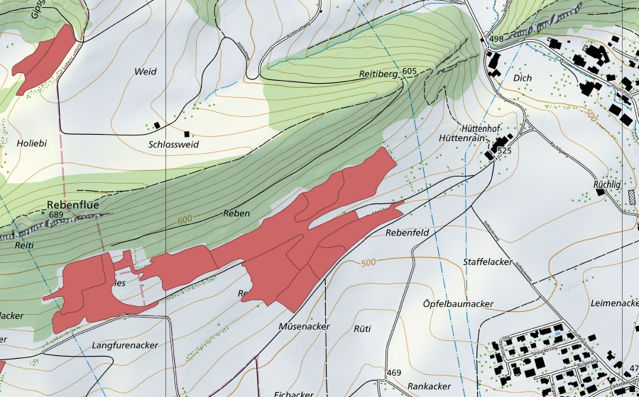 Landeskarte swisstopo mit dem Schutzperimeter von Rebenfeld (Trockenwiese)