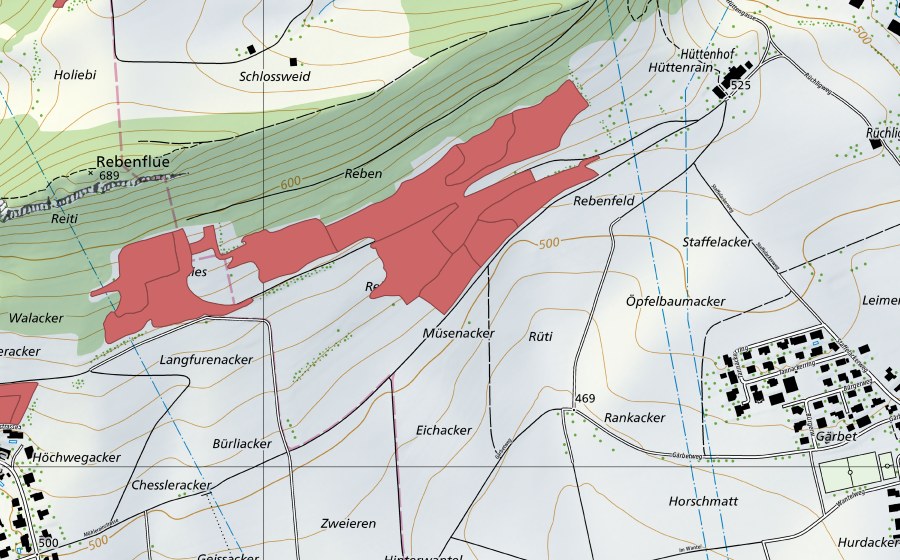 Landeskarte swisstopo mit dem Schutzperimeter von Rebenfeld (Trockenwiese)