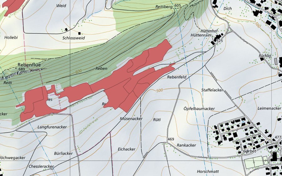Landeskarte swisstopo mit dem Schutzperimeter von Rebenfeld (Trockenwiese)
