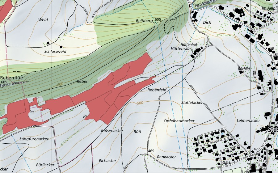 Landeskarte swisstopo mit dem Schutzperimeter von Rebenfeld (Trockenwiese)