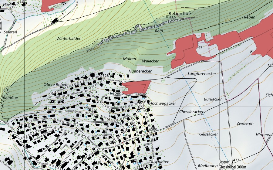 swisstopo national map showing the protected perimeter of Rebenfeld (Dry meadow)