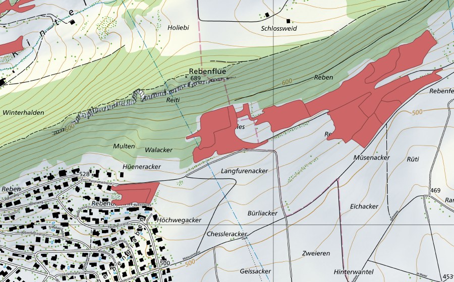 Carte nationale swisstopo avec le périmètre protégé de Rebenfeld (Prairie sèche)