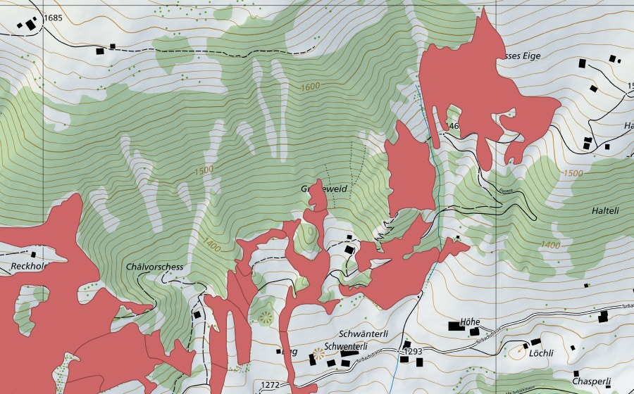 swisstopo national map showing the protected perimeter of Reckholderli (Dry meadow)