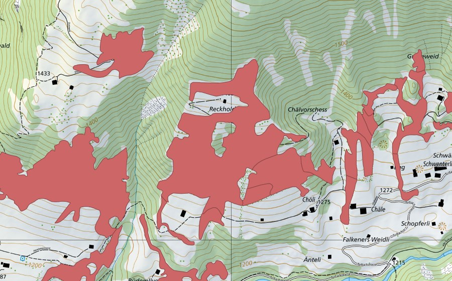 swisstopo national map showing the protected perimeter of Reckholderli (Dry meadow)