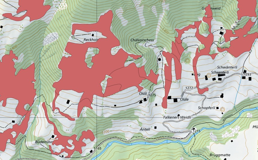 swisstopo national map showing the protected perimeter of Reckholderli (Dry meadow)