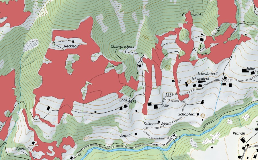 Landeskarte swisstopo mit dem Schutzperimeter von Reckholderli (Trockenwiese)