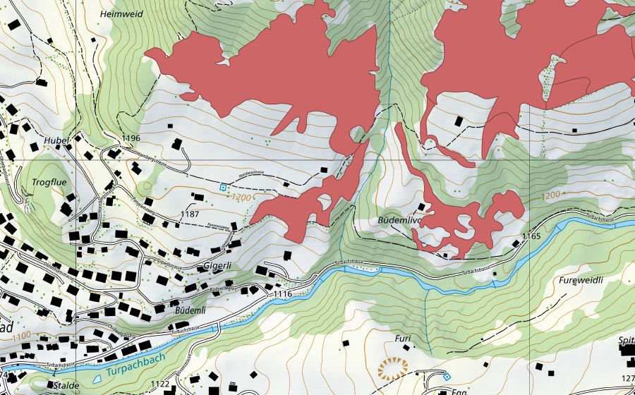 swisstopo national map showing the protected perimeter of Reckholderli (Dry meadow)