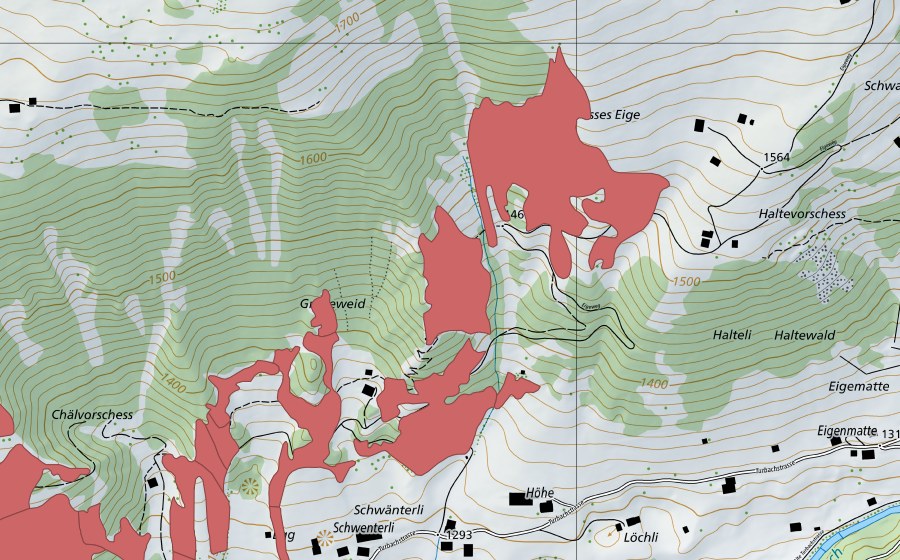 Landeskarte swisstopo mit dem Schutzperimeter von Reckholderli (Trockenwiese)