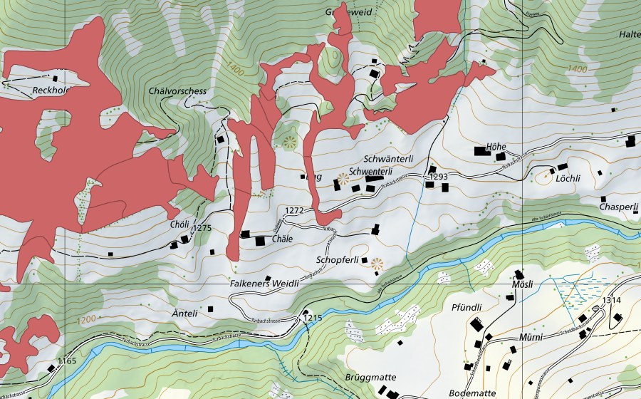 Carte nationale swisstopo avec le périmètre protégé de Reckholderli (Prairie sèche)
