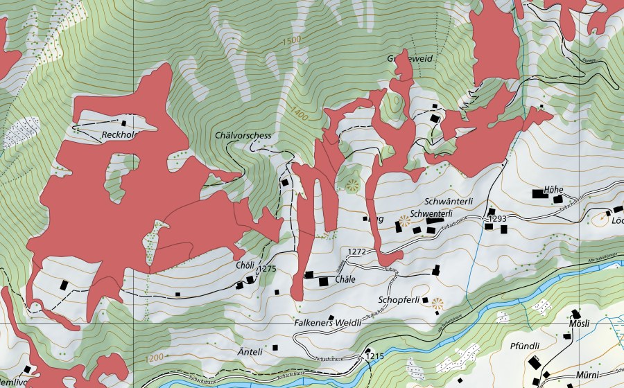 Carte nationale swisstopo avec le périmètre protégé de Reckholderli (Prairie sèche)