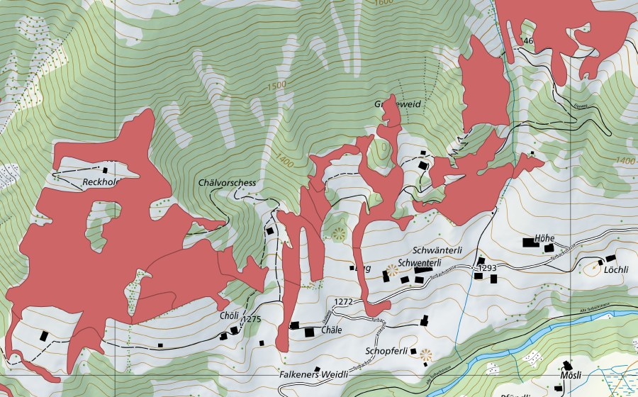 Landeskarte swisstopo mit dem Schutzperimeter von Reckholderli (Trockenwiese)