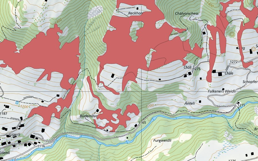 Carte nationale swisstopo avec le périmètre protégé de Reckholderli (Prairie sèche)