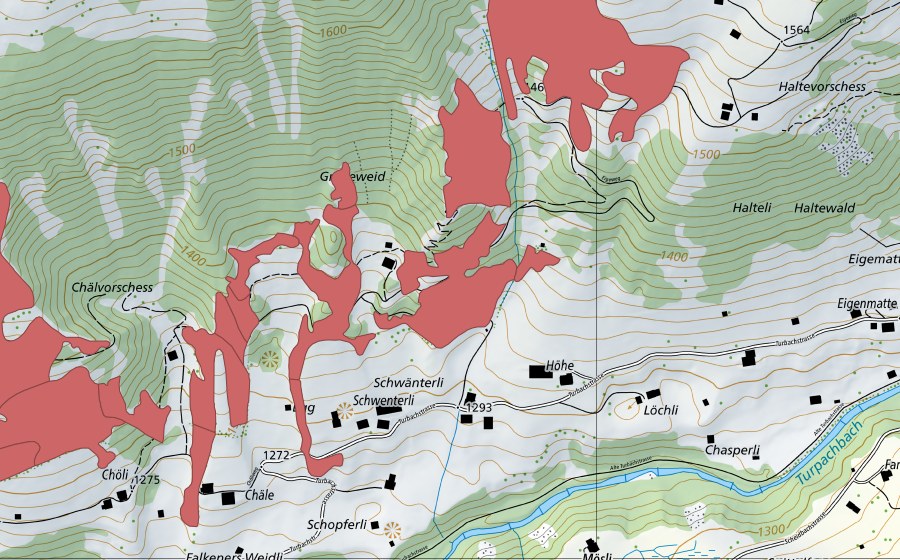 Landeskarte swisstopo mit dem Schutzperimeter von Reckholderli (Trockenwiese)