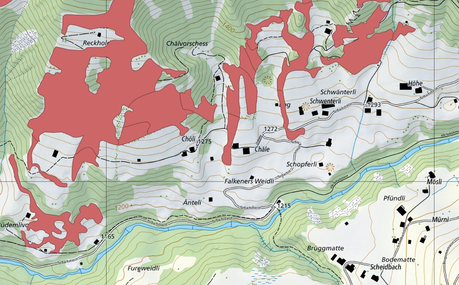 Landeskarte swisstopo mit dem Schutzperimeter von Reckholderli (Trockenwiese)