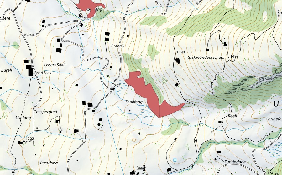 Carte nationale swisstopo avec le périmètre protégé de Reeji (Prairie sèche)