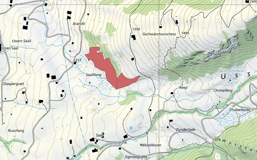 swisstopo national map showing the protected perimeter of Reeji (Dry meadow)