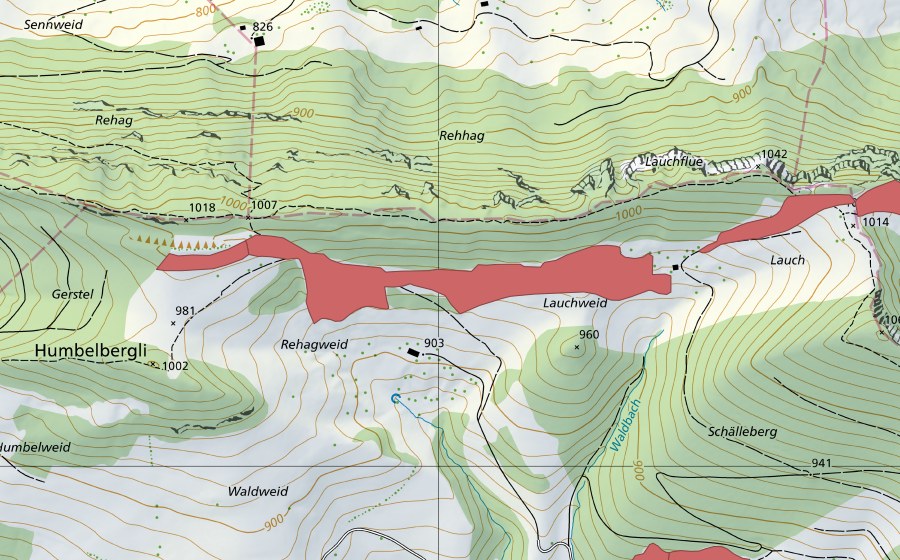 swisstopo national map showing the protected perimeter of Rehhagweid (Dry meadow)