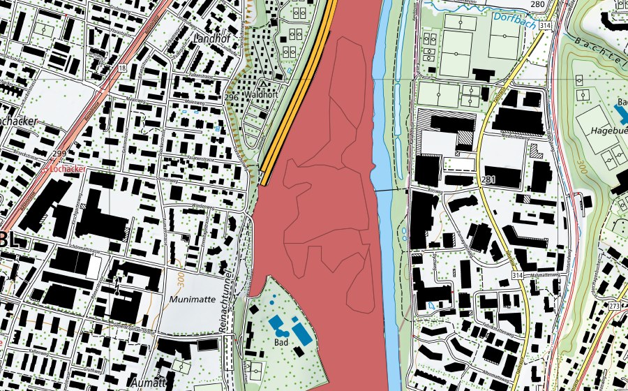 Landeskarte swisstopo mit dem Schutzperimeter von Reinacherheide (Trockenwiese)