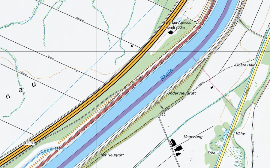 Landeskarte swisstopo mit dem Schutzperimeter von Rheindamm Alberwald (Trockenwiese)