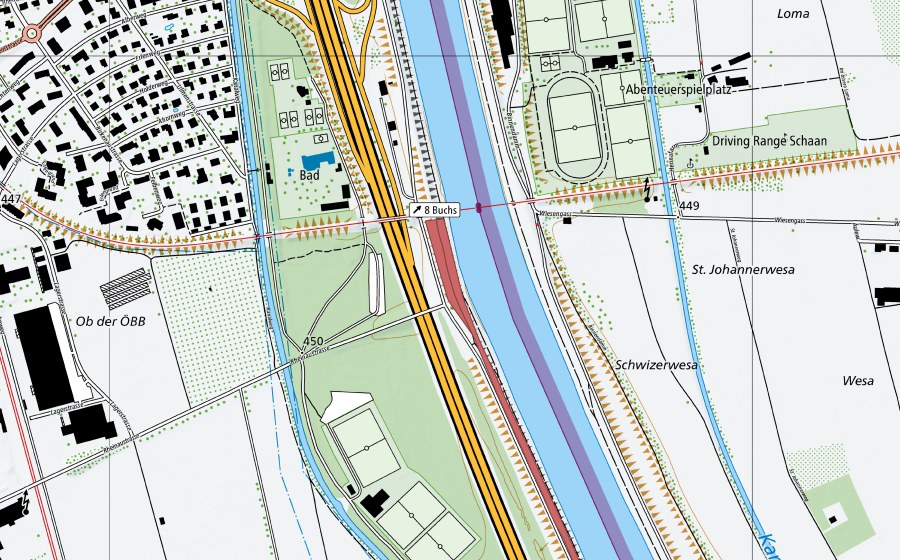 Landeskarte swisstopo mit dem Schutzperimeter von Rheindamm Burgerau (Trockenwiese)
