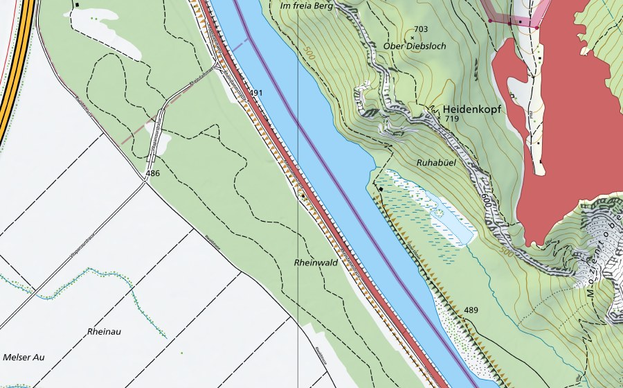 Landeskarte swisstopo mit dem Schutzperimeter von Rheindamm Melser Au (Trockenwiese)