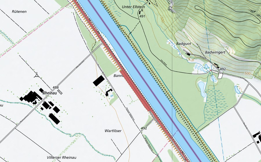 Carte nationale swisstopo avec le périmètre protégé de Rheindamm Melser Au (Prairie sèche)