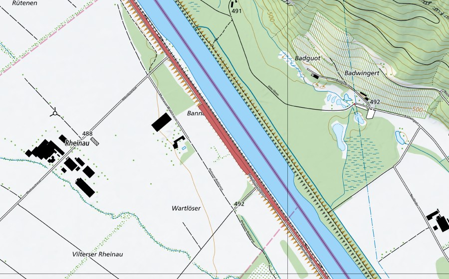 Landeskarte swisstopo mit dem Schutzperimeter von Rheindamm Melser Au (Trockenwiese)