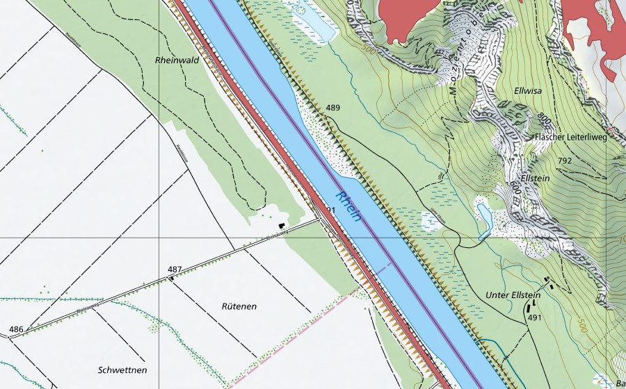 Carte nationale swisstopo avec le périmètre protégé de Rheindamm Melser Au (Prairie sèche)