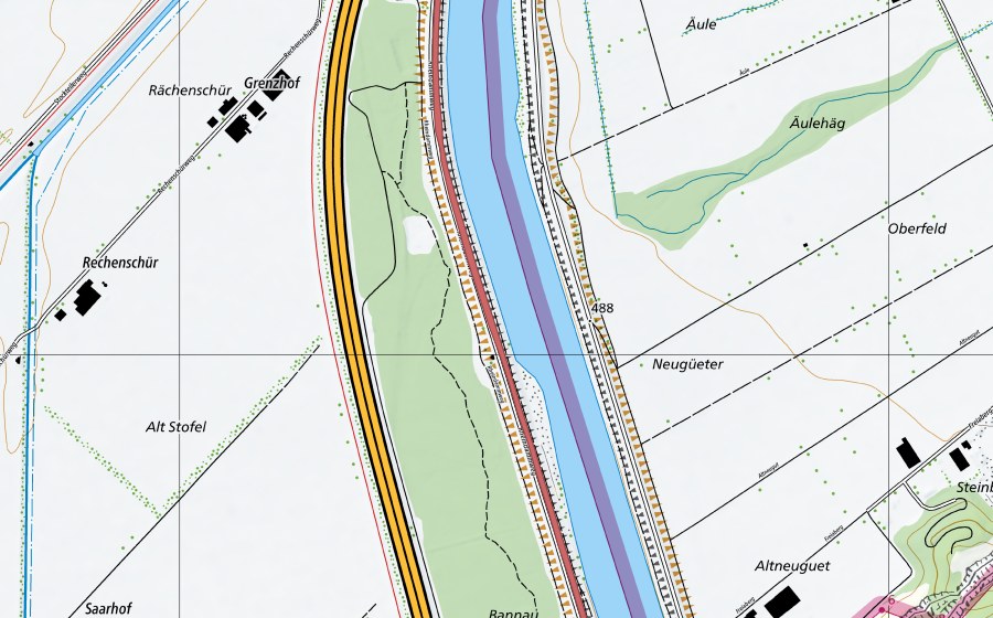 Carte nationale swisstopo avec le périmètre protégé de Rheindamm Sarganser Au (Prairie sèche)