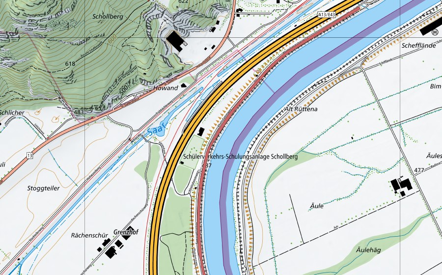 Carta nazionale swisstopo con il perimetro protetto di Rheindamm Sarganser Au (Prato secco)