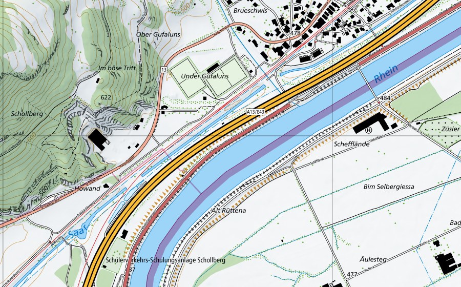 swisstopo national map showing the protected perimeter of Rheindamm Sarganser Au (Dry meadow)