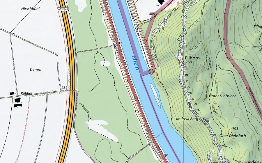 Carte nationale swisstopo avec le périmètre protégé de Rheindamm Sarganser Au (Prairie sèche)
