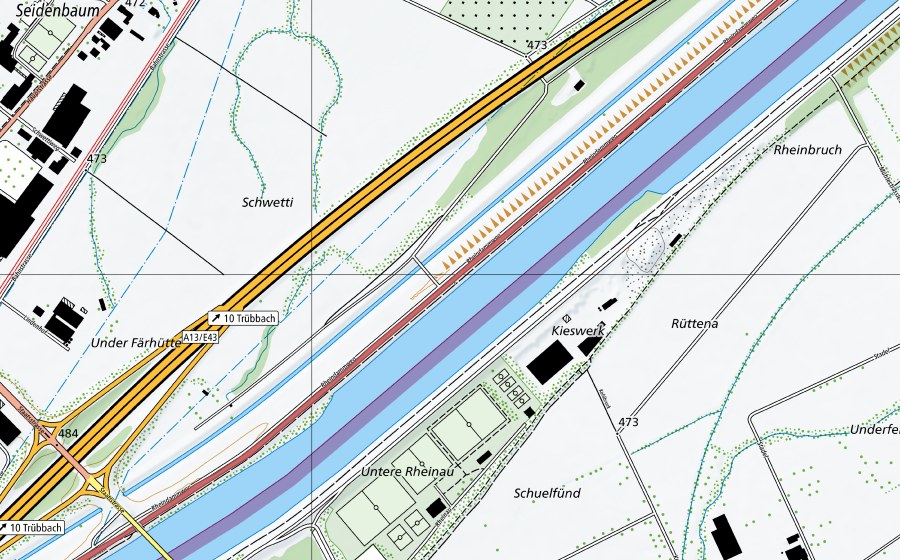Landeskarte swisstopo mit dem Schutzperimeter von Rheindamm Schwetti (Trockenwiese)