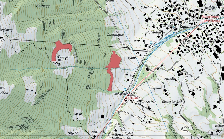 swisstopo national map showing the protected perimeter of Ribi (Dry meadow)