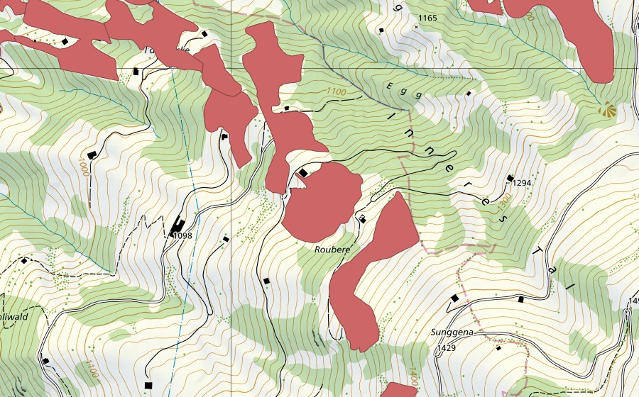 swisstopo national map showing the protected perimeter of Richige Weid (Dry meadow)