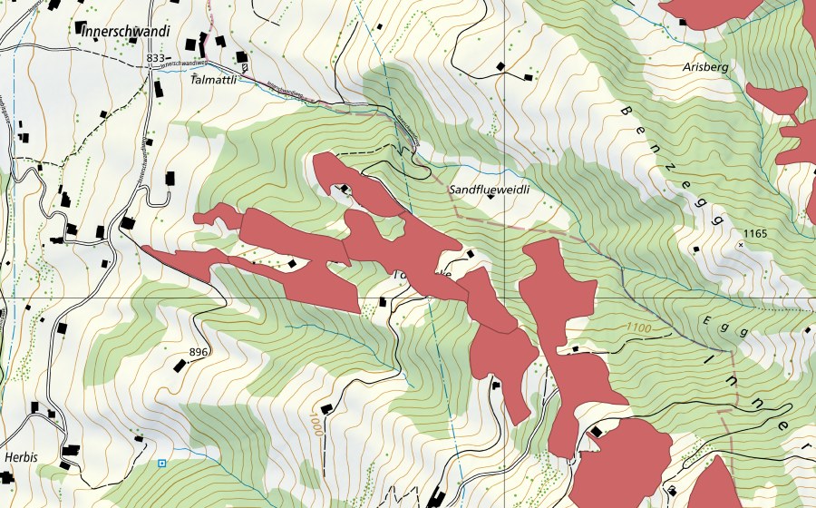 swisstopo national map showing the protected perimeter of Richige Weid (Dry meadow)