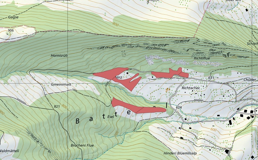 swisstopo national map showing the protected perimeter of Richtacher (Dry meadow)