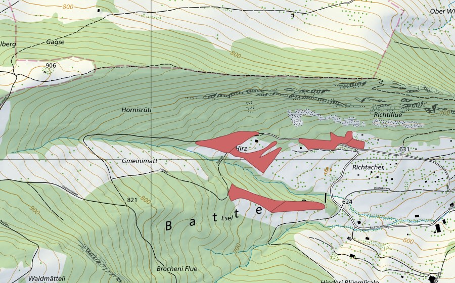 swisstopo national map showing the protected perimeter of Richtacher (Dry meadow)