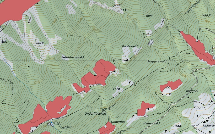 swisstopo national map showing the protected perimeter of Ried (Dry meadow)