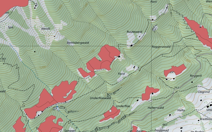swisstopo national map showing the protected perimeter of Ried (Dry meadow)