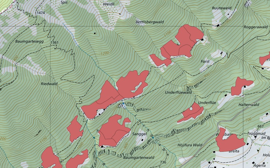 Carte nationale swisstopo avec le périmètre protégé de Ried (Prairie sèche)