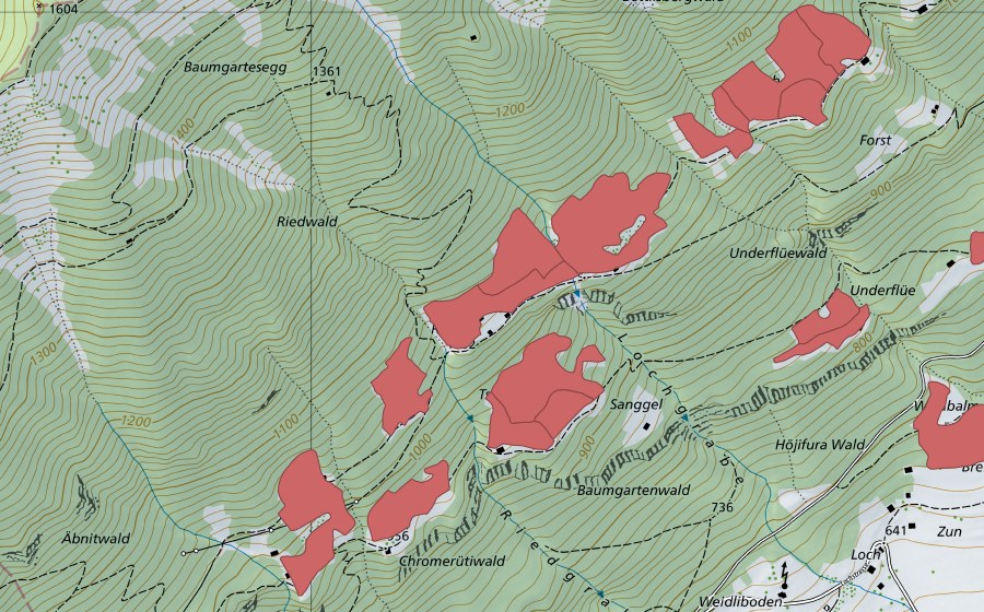 swisstopo national map showing the protected perimeter of Ried (Dry meadow)