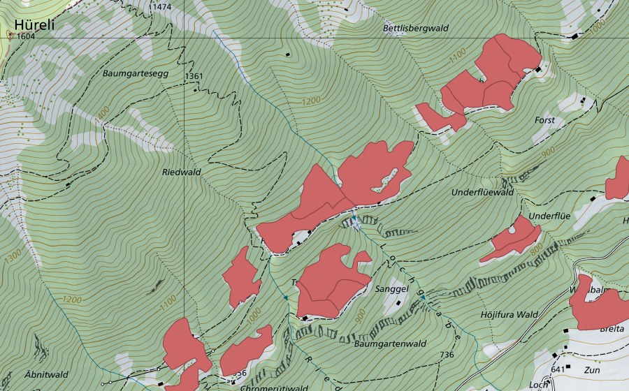 swisstopo national map showing the protected perimeter of Ried (Dry meadow)