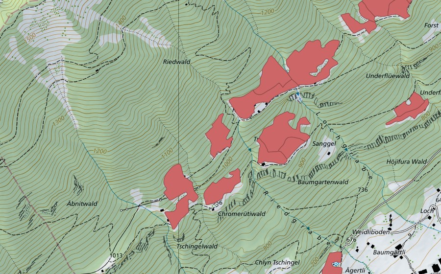 Landeskarte swisstopo mit dem Schutzperimeter von Ried (Trockenwiese)