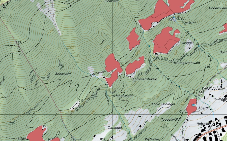 swisstopo national map showing the protected perimeter of Ried (Dry meadow)