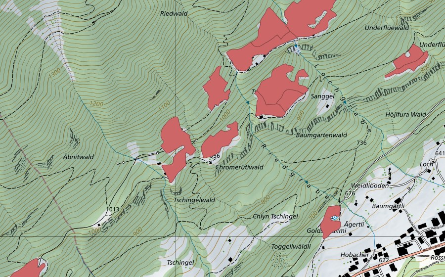 Landeskarte swisstopo mit dem Schutzperimeter von Ried (Trockenwiese)